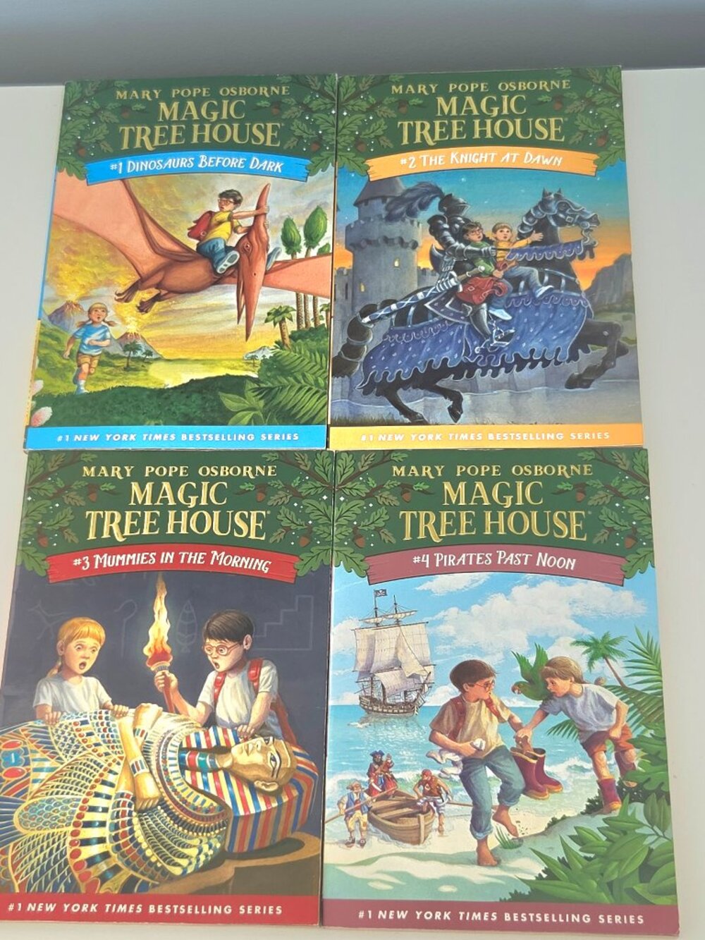 CHILDREN'S BOOKS, MAGIC TREEHOUSE, #1 NY TIMES BESTSELLING SERIES, AGES 6-9